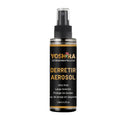 Derretir Aerosol